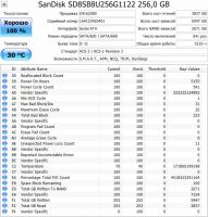 Лот: 11628854. Фото: 3. SSD 256GB SanDisk SD8SB8U-256G-1122. Компьютеры, оргтехника, канцтовары
