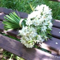 Лот: 13819315. Фото: 2. Белые нарциссы. Цветы, букеты