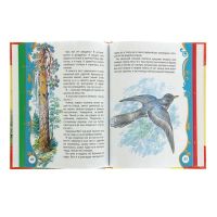 Лот: 15281691. Фото: 2. Рассказы и сказки о животных... Детям и родителям