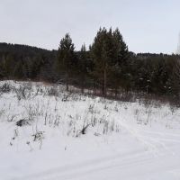 Лот: 15465824. Фото: 2. ижс. Продажа