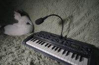 Лот: 9656805. Фото: 3. Korg Microsampler (снизил цену... Музыкальные инструменты и оборудование