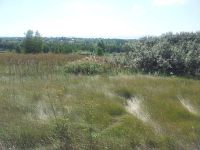 Лот: 2660099. Фото: 5. Участок 6 соток около д. Сухая...