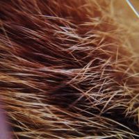 Лот: 4256172. Фото: 3. Широкоугольный+макро объектив... Смартфоны, связь, навигация