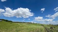 Лот: 25391599. Фото: 3. участок , село Вознесенка улица... Недвижимость