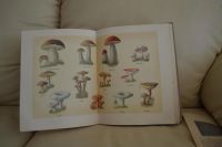Лот: 5734064. Фото: 7. Книга о вкусной и здоровой пище