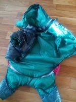 Лот: 15021544. Фото: 2. Зимний комбинезон для собаки. Животные и уход