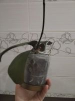 Лот: 25888981. Фото: 5. Орхидея фаленопсис, отцвела