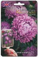 Лот: 6698345. Фото: 2. Астра Камелот Лиловый, 40 шт. Семена, рассада, садовые растения