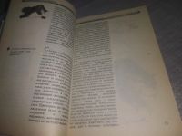 Лот: 18663084. Фото: 5. ок...Непомнящий, Н. 100 кошачьих...