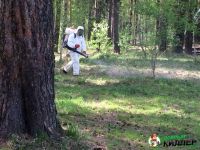 Лот: 5402680. Фото: 2. Обработка от клещей! Безупречная... Для дачи, дома, огорода, бани, парка