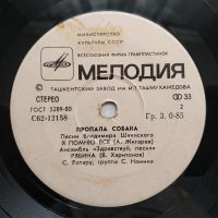 Лот: 17299882. Фото: 4. 7" Пропала собака