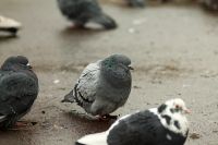 Лот: 3428685. Фото: 5. Юпитер-37А со знаком качества...