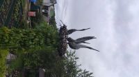 Лот: 16092011. Фото: 3. Кованая скульптура. Коллекционирование, моделизм