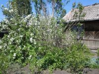 Лот: 15924388. Фото: 3. Участок 9 соток. Железногорск. Недвижимость