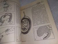 Лот: 18922011. Фото: 7. Филиппова С. Изделия из кожи...