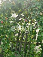 Лот: 25288959. Фото: 14. 3-комн. дача , садоводческое некоммерческое...