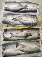 Лот: 15606285. Фото: 2. Кижуч ПБГ 1 сорт с/м. Продукты