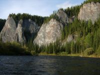 Лот: 16285039. Фото: 3. Хариус малосоленный. Красноярск