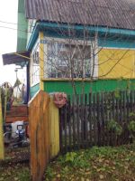Лот: 5048340. Фото: 6. Дача в Петряшино