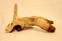 Лот: 3584096. Фото: 2. Коряга JBL Mopani Wurzel S. Аквариумистика