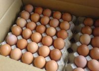 Лот: 22216623. Фото: 2. Яйцо куриное. Продукты