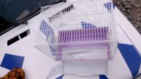 Лот: 11683314. Фото: 4. Клетка для птиц, попугаев, грызунов. Красноярск
