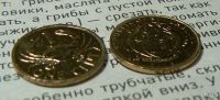 Лот: 13522696. Фото: 5. Монета один цент сейшельских островов...