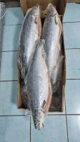 Лот: 20677295. Фото: 2. Сёмга Чили С/Г с/м(4-5кг) и (5-6кг... Продукты
