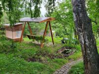 Лот: 20755953. Фото: 2. Продам дачу в лесу. Продажа