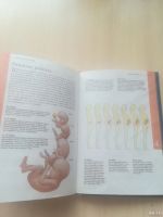 Лот: 13381660. Фото: 2. Книга. Детям и родителям