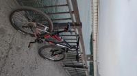 Лот: 16242700. Фото: 3. MTB Cannondale Trail7 29. Спортивные товары