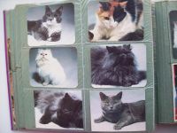 Лот: 9982529. Фото: 2. Календарики с кошками (293 штуки... Открытки, билеты и др.