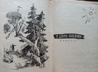 Лот: 21431181. Фото: 6. Иосиф Дик - В дебрях Кара-Бумбы...