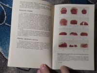 Лот: 25889064. Фото: 3. Карл Фридрих Шмидт Мясные продукты... Литература, книги