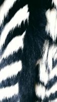 Лот: 8040383. Фото: 5. полушубок