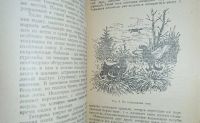 Лот: 24890274. Фото: 8. Охота на лесную (боровую) дичь...