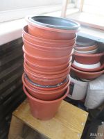 Лот: 9584930. Фото: 3. Горшки 1. Растения и животные