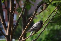 Лот: 9864182. Фото: 5. Юпитер 11А (Nikon canon sony pentax...