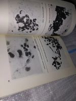 Лот: 17078634. Фото: 5. Цитологическая классификация опухолей...