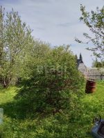 Лот: 25294055. Фото: 9. 2-комн. дом , садоводческое некоммерческое...