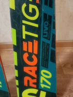 Лот: 21096876. Фото: 3. Горные лыжи Volkl Racetiger Speedwall... Спортивные товары