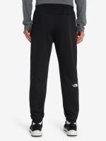 Лот: 25714030. Фото: 3. Брюки мужские The North Face Reaxion... Одежда, обувь, галантерея