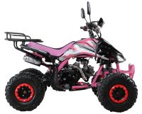 Лот: 25774807. Фото: 6. Квадроцикл MOTAX ATV T-Rex Super...