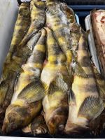 Лот: 21096175. Фото: 2. Терпуг королевский, Курилы. Продукты