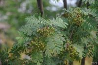 Лот: 8816069. Фото: 6. МС Конвертер К-2Н 2х