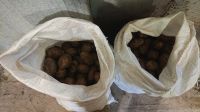Лот: 25729461. Фото: 2. Картофель урожай 2025 с доставкой. Продукты