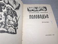 Лот: 25059851. Фото: 5. Oz (2092321) Половодье , Чмыхало...