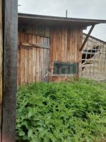 Лот: 25527219. Фото: 7. 1-комн. дом , посёлок Приморск...