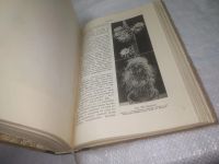 Лот: 25242926. Фото: 6. оз..вб (2092321) Цветоводство...