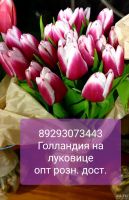 Лот: 9050531. Фото: 11. Тюльпаны опт розница Красноярск...